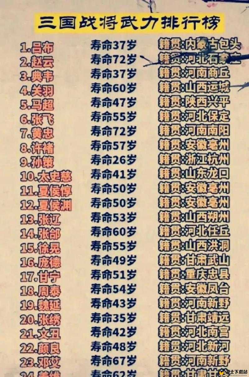 揭秘三国时代武将战力飞跃的秘笈，技巧、策略与修炼之道